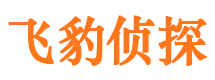 金城江市调查取证